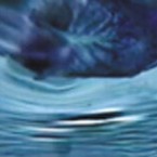 flight_THUMB